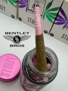 STIIIZY 40's Infused Pre-Rolls – High Potency Live Resin Joints 5PK