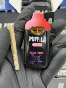 PUFF LA 2G Dual Disposable with Pre-Roll