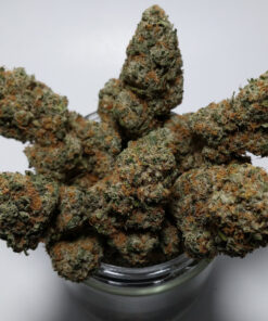 acapulco gold