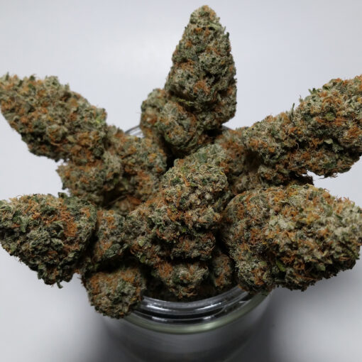 acapulco gold