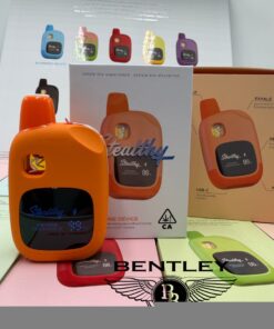 STEALTHY 2G Disposable | All-In-One 2000mg Rechargeable Vape