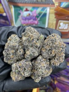 Sweetz Exotics Trap House Edition | Exotic Indoor Flower