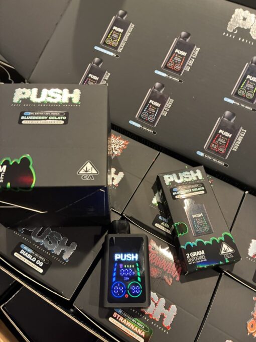 PUSH 2G Disposable with Screen | 2 Gram Rechargeable Smart Display