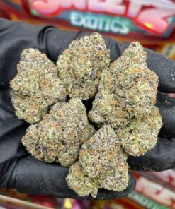 SWEETZ EXOTICS Sushi Bar Edition – Exotic Hybrid Flower