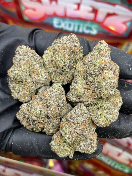 SWEETZ EXOTICS Sushi Bar Edition – Exotic Hybrid Flower