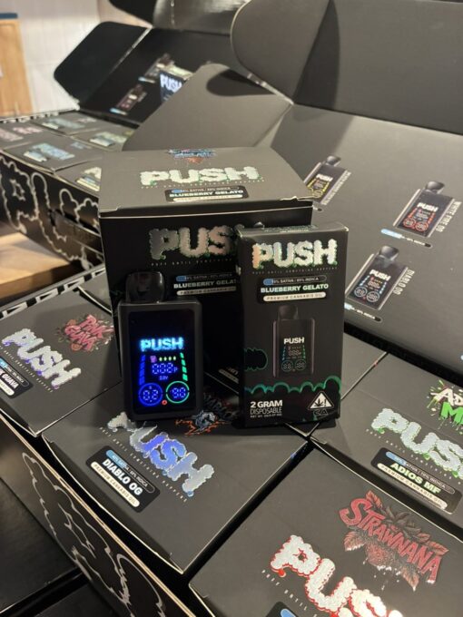 PUSH 2G Disposable with Screen | 2 Gram Rechargeable Smart Display