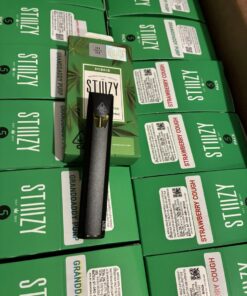 STIIIZY 1 Gram Disposable Vape Pen | Premium 1G Distillate & Terpenes
