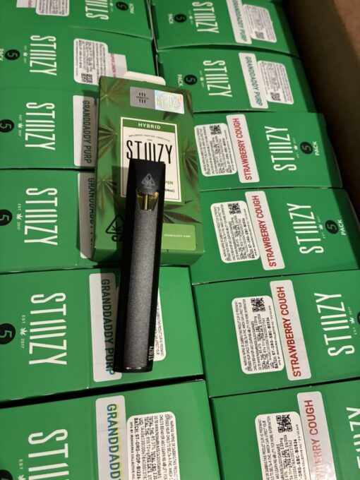STIIIZY 1 Gram Disposable Vape Pen | Premium 1G Distillate & Terpenes