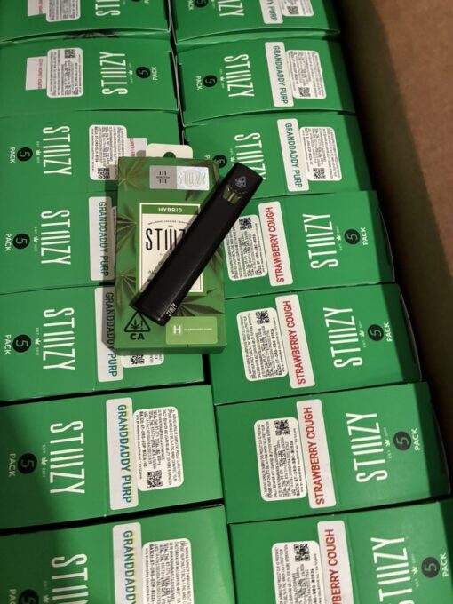 STIIIZY 1 Gram Disposable Vape Pen | Premium 1G Distillate & Terpenes