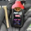 PUFF LA 2G Dual Disposable with Pre-Roll