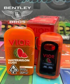 VIOR 2G disposable vape pen with ceramic coil and draw-activated mouthpiece