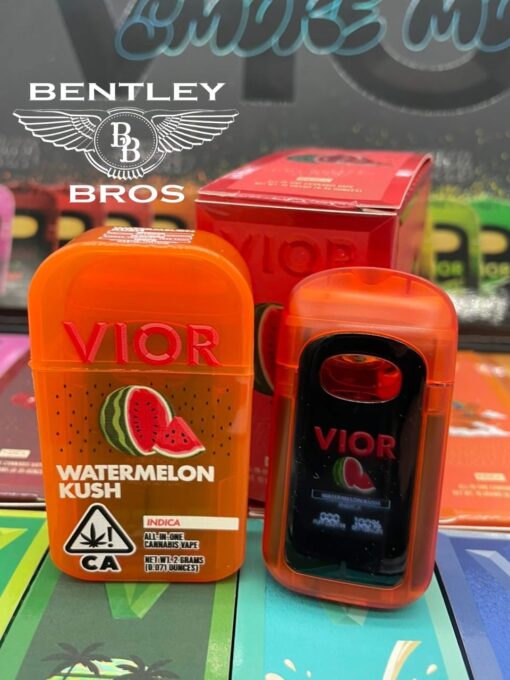 VIOR 2G disposable vape pen with ceramic coil and draw-activated mouthpiece
