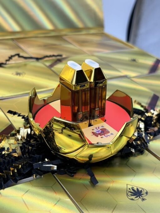 ACE Ultra Premium World Champions Edition Mini 2G Gen 6 product packaging with gold soccer-ball collector design.